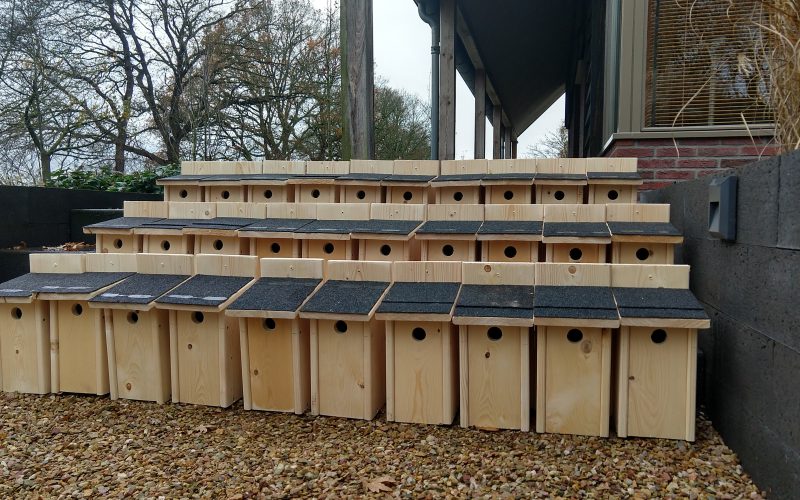 Frontale aanval op de eikenprocessierups Nestkasten
