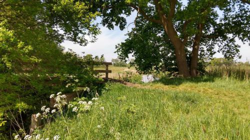 De brug bij boerderij 't Ende